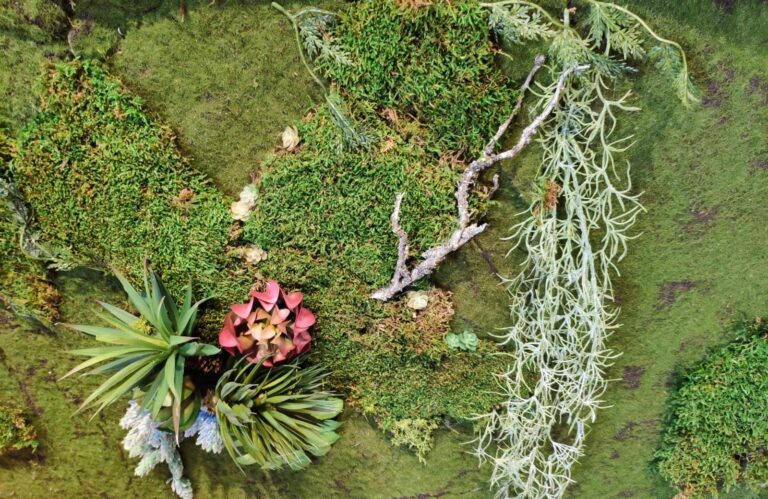 Sonia – Jardín Vertical en Salón