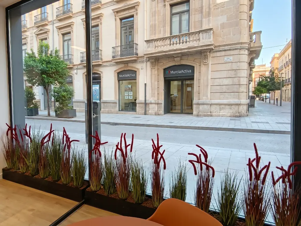 Jardineras con gras, cola de zorro y piedra volcánica