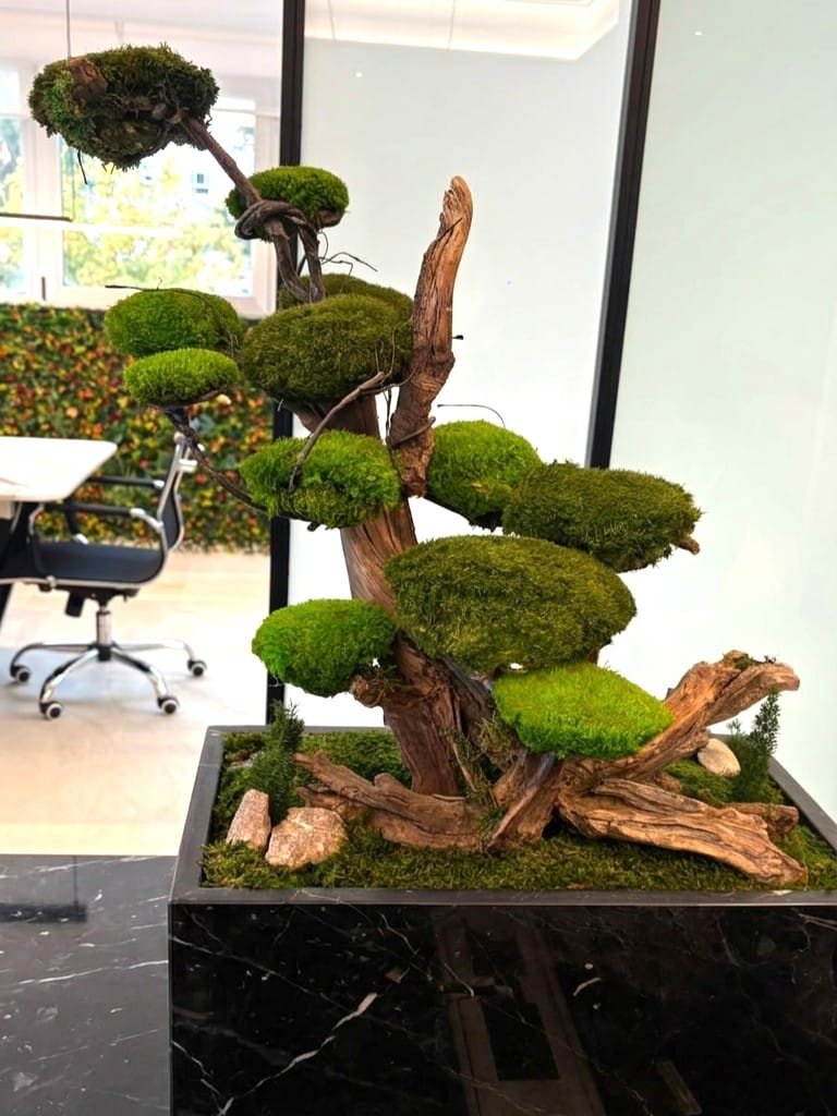 Bonsái preservado sobre jardinera de mármol